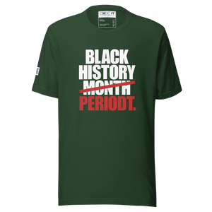 BLACK HISTORY PERIODT  (Unisex t-shirt)